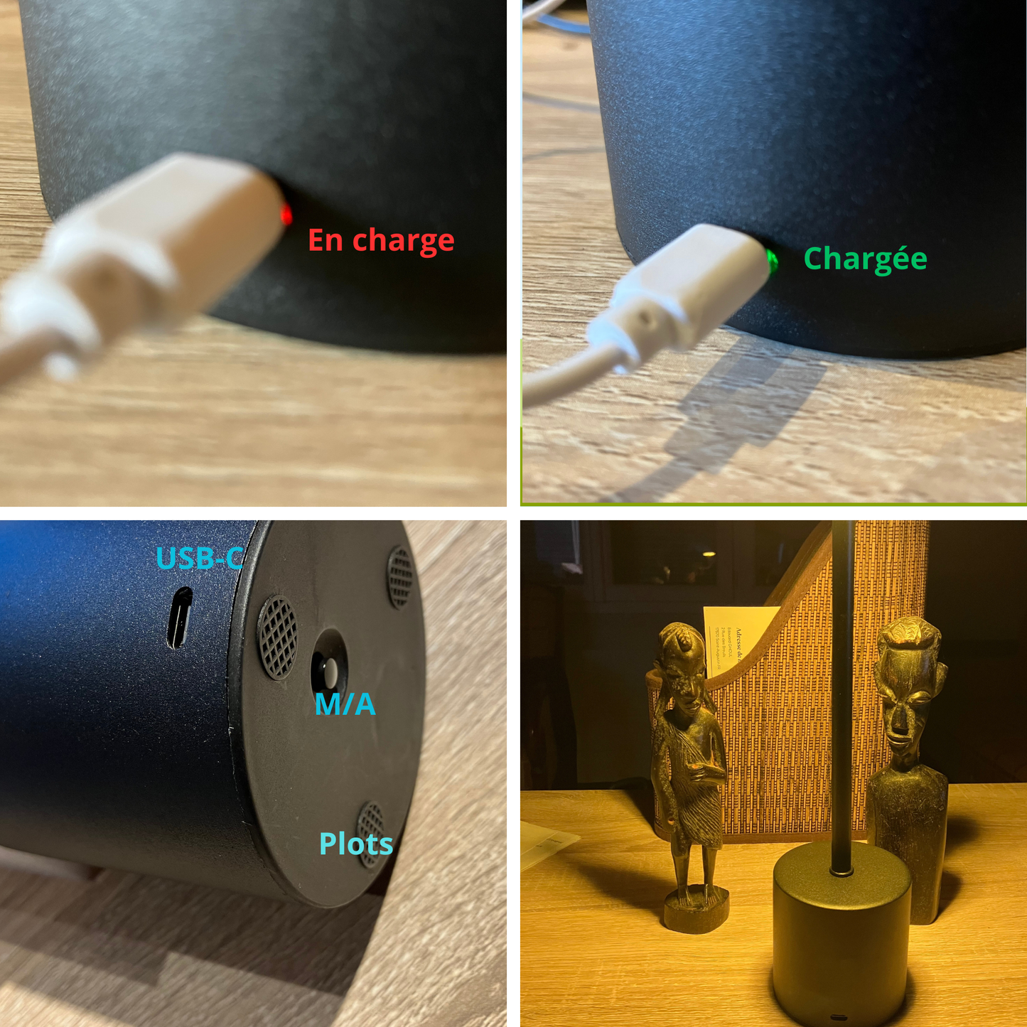 Témoin de charge LED rouge et vert de la lampe rechargeable