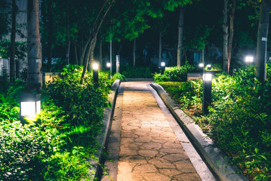 Lampe Solaire Jardin LED - Éclairage Extérieur Automatique Sans Fil IP65