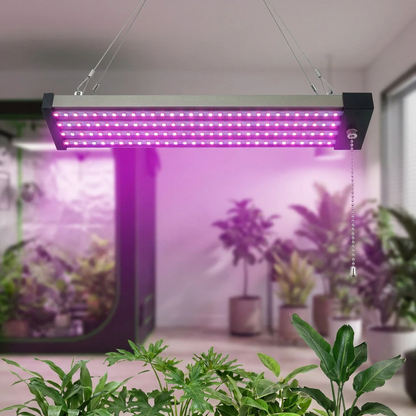 Growluma – Lampe LED Plein Spectre pour Plantes d'Intérieur