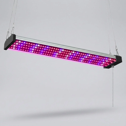 Growluma – Lampe LED Plein Spectre pour Plantes d'Intérieur