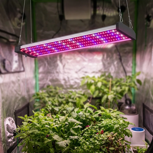 Growluma – Lampe LED Plein Spectre pour Plantes d'Intérieur