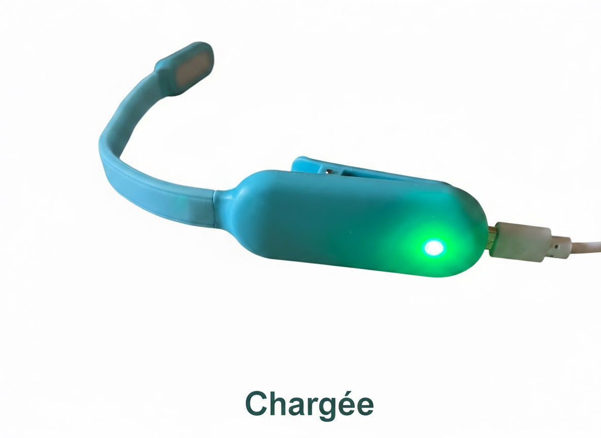Mini Liseuse LED à Pince Rechargeable USB - 3 Intensités Réglables