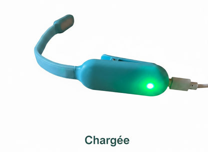 Mini Liseuse LED à Pince Rechargeable USB - 3 Intensités Réglables